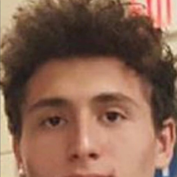 Animal - Picture 2 of 2